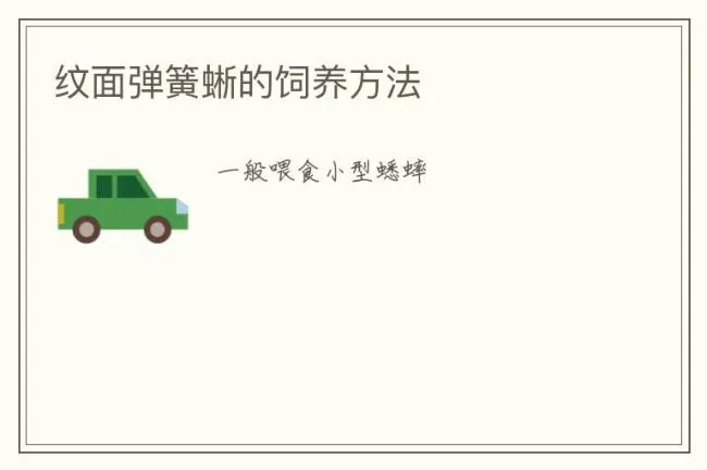 纹面弹簧蜥的饲养方法