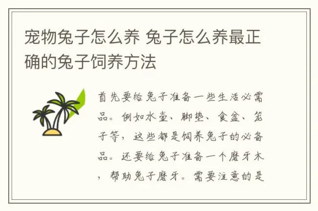 宠物兔子怎么养 兔子怎么养最正确的兔子饲养方法