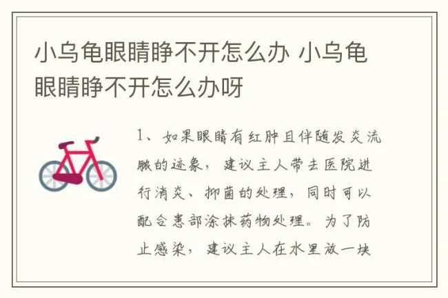 小乌龟眼睛睁不开怎么办 小乌龟眼睛睁不开怎么办呀