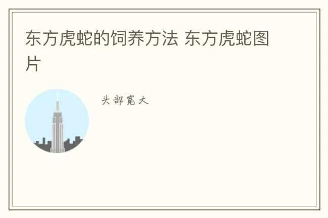 东方虎蛇的饲养方法 东方虎蛇图片