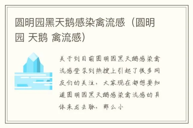 圆明园黑天鹅感染禽流感（圆明园 天鹅 禽流感）