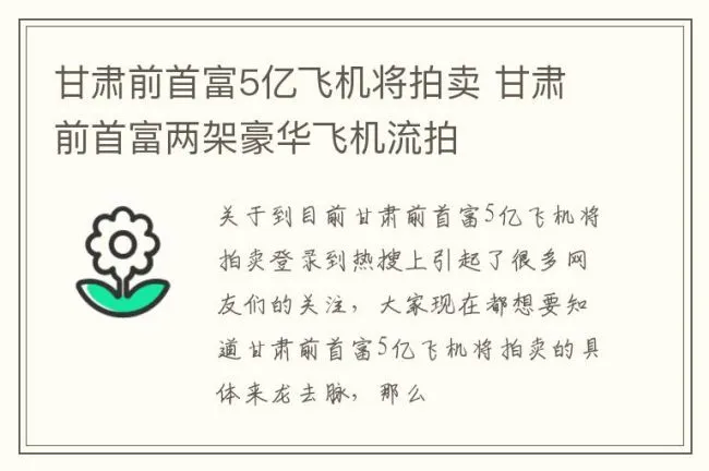 甘肃前首富5亿飞机将拍卖 甘肃前首富两架豪华飞机流拍
