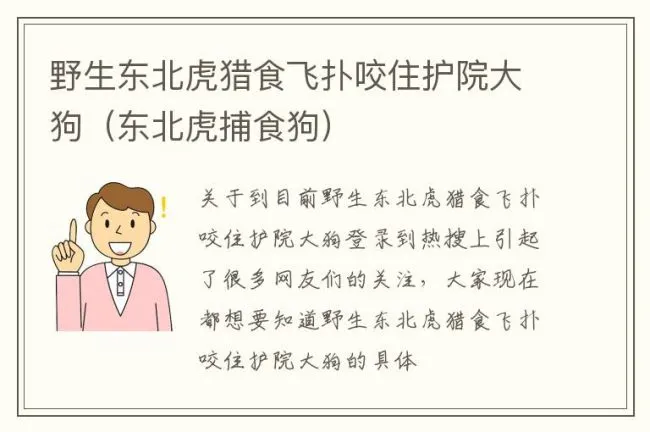 野生东北虎猎食飞扑咬住护院大狗（东北虎捕食狗）