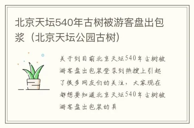 北京天坛540年古树被游客盘出包浆（北京天坛公园古树）
