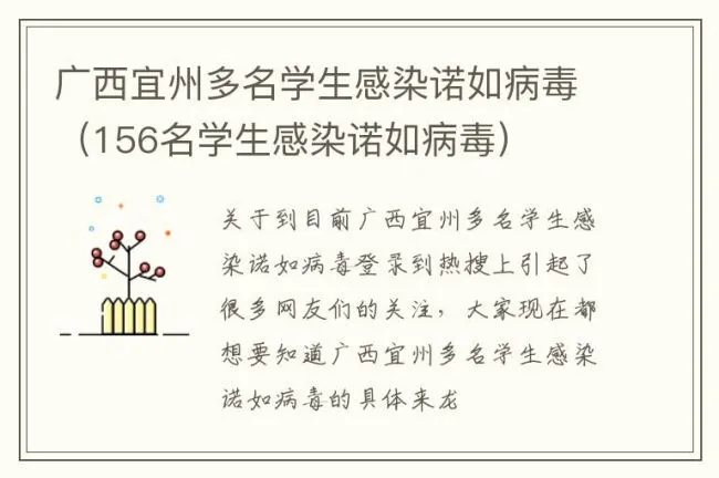 广西宜州多名学生感染诺如病毒（156名学生感染诺如病毒）