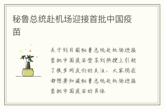 秘鲁总统赴机场迎接首批中国疫苗