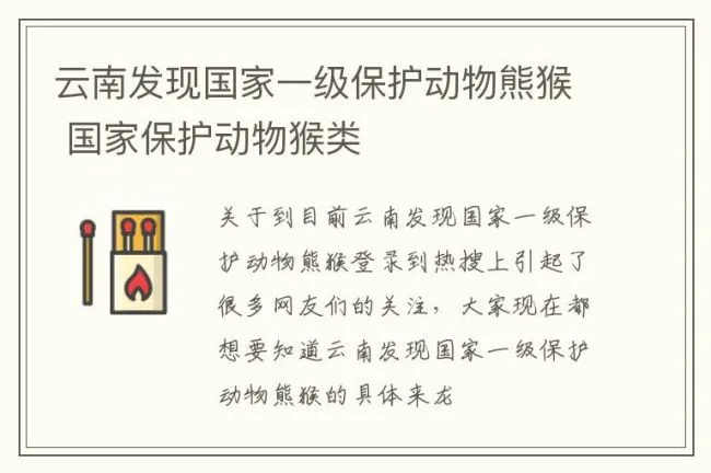 云南发现国家一级保护动物熊猴 国家保护动物猴类