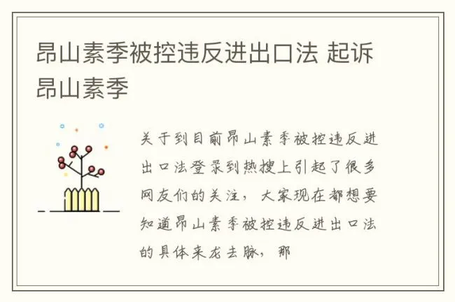 昂山素季被控违反进出口法 起诉昂山素季