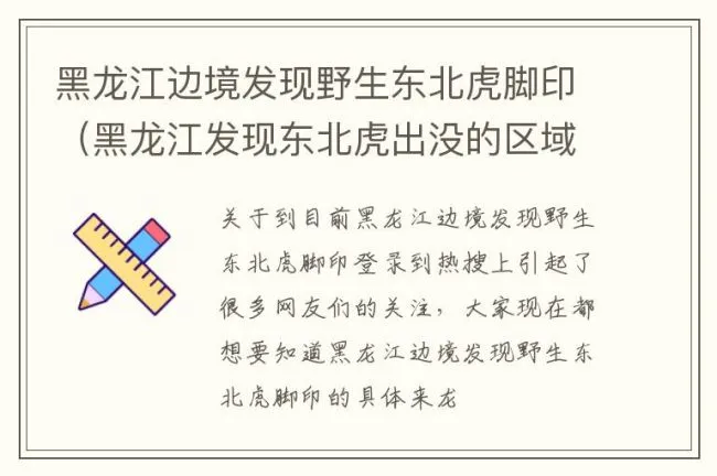 黑龙江边境发现野生东北虎脚印（黑龙江发现东北虎出没的区域）