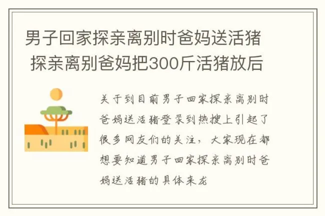 男子回家探亲离别时爸妈送活猪 探亲离别爸妈把300斤活猪放后备箱