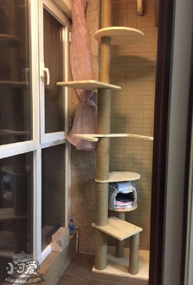 自制猫爬架教程