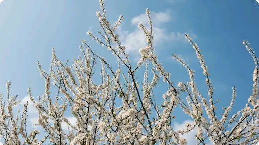 大规格墙砖铺贴方法 大规格墙砖铺贴方法视频大全